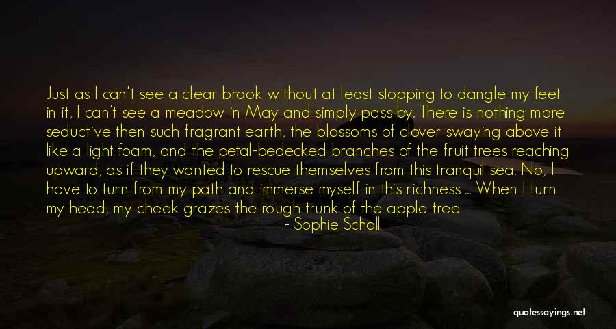 Tree Blossoms Quotes By Sophie Scholl Tree Blossoms Quotes By Sophie Scholl