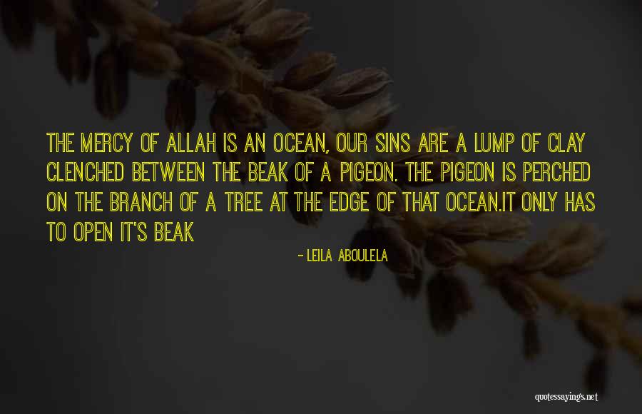 Tree Branch Quotes By Leila Aboulela