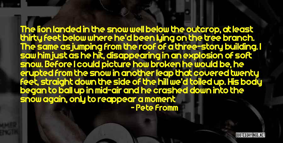 Tree Branch Quotes By Pete Fromm