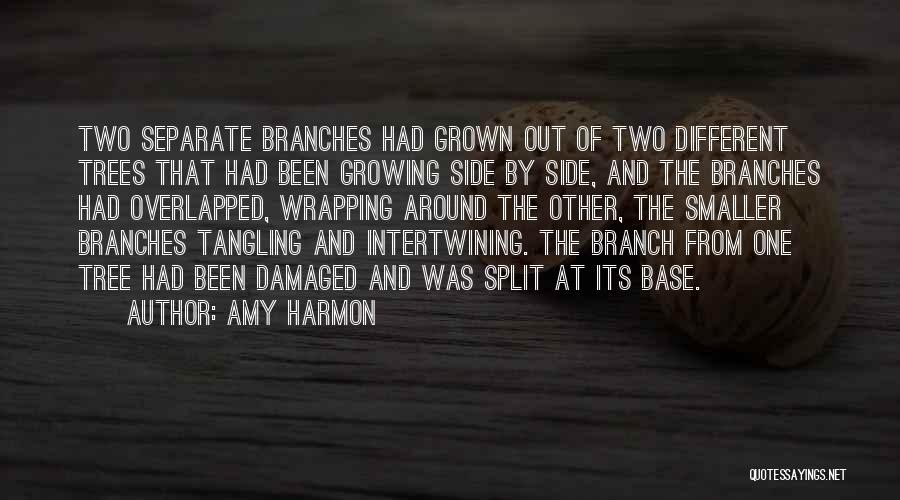 Tree Branches Quotes By Amy Harmon