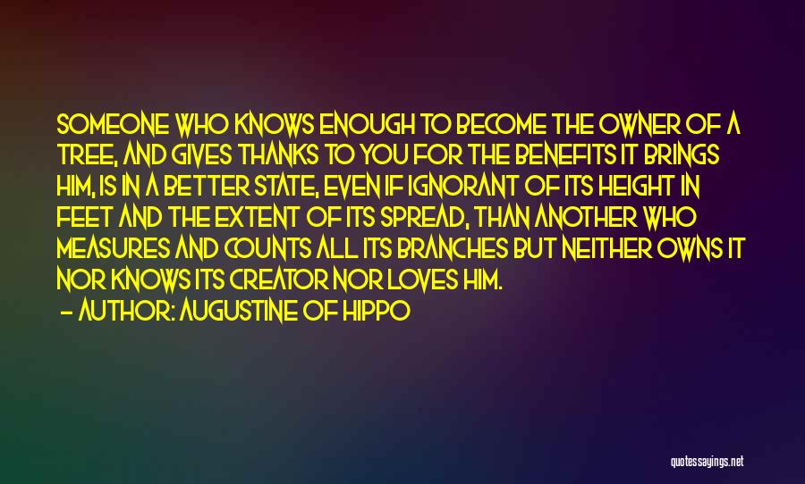 Tree Branches Quotes By Augustine Of Hippo