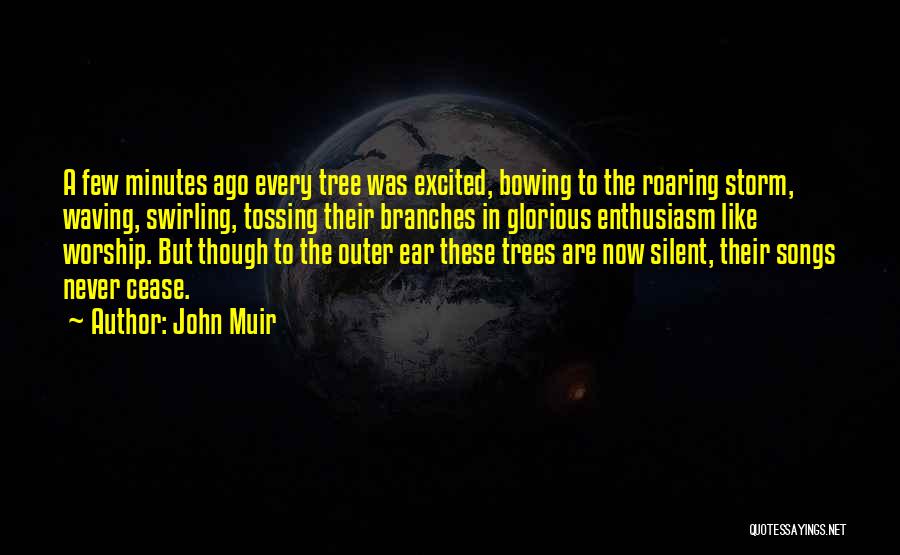 Tree Branches Quotes By John Muir