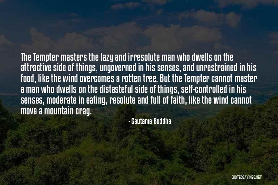 Tree Buddhist Quotes By Gautama Buddha Tree Buddhist Quotes By Gautama Buddha