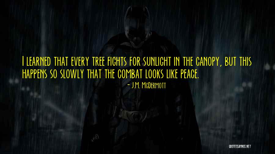 Tree But Quotes By J.M. McDermott Tree But Quotes By J.M. McDermott