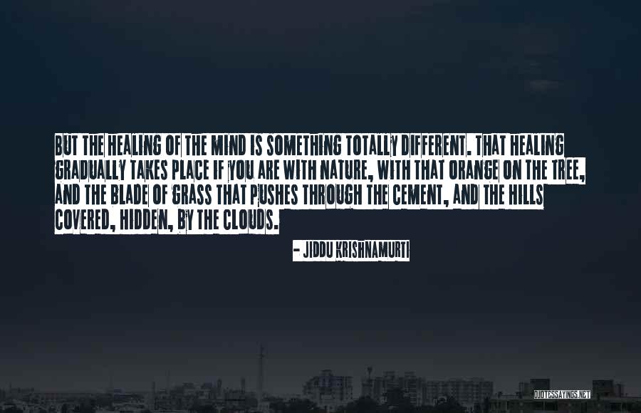 Tree But Quotes By Jiddu Krishnamurti Tree But Quotes By Jiddu Krishnamurti