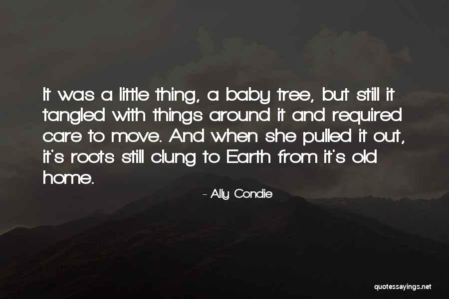 Tree Care Quotes By Ally Condie Tree Care Quotes By Ally Condie