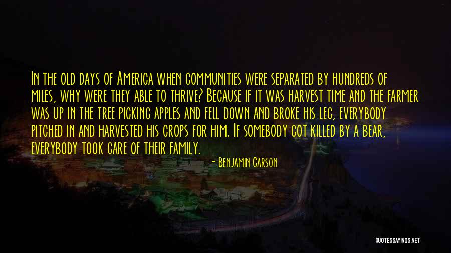 Tree Care Quotes By Benjamin Carson Tree Care Quotes By Benjamin Carson