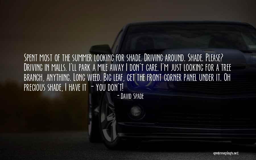 Tree Care Quotes By David Spade Tree Care Quotes By David Spade
