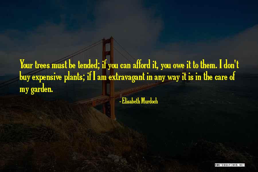 Tree Care Quotes By Elisabeth Murdoch Tree Care Quotes By Elisabeth Murdoch