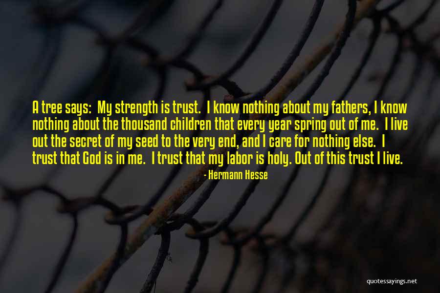 Tree Care Quotes By Hermann Hesse Tree Care Quotes By Hermann Hesse