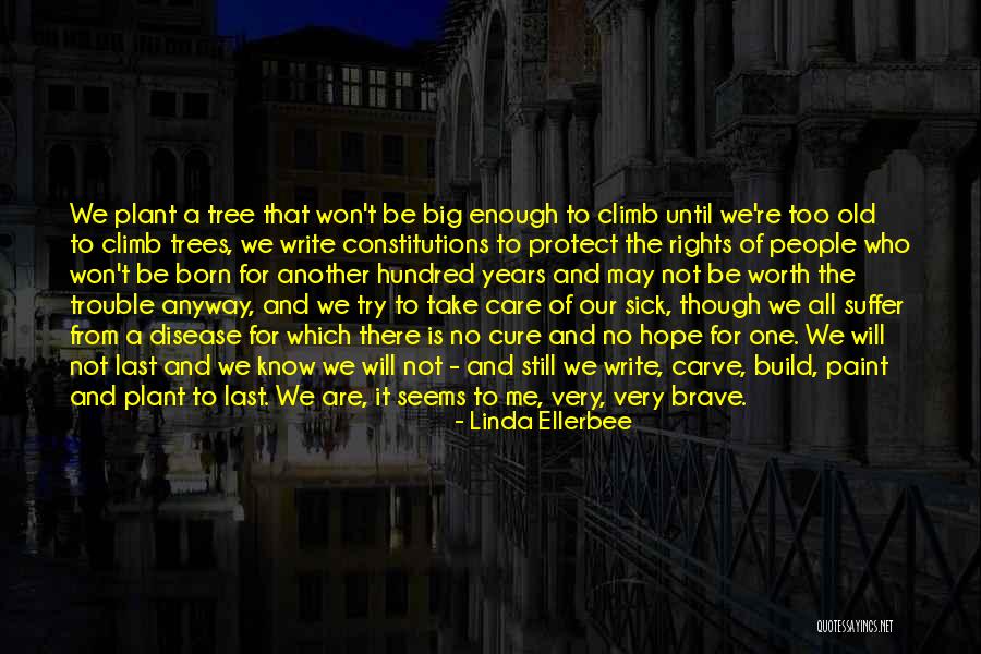 Tree Care Quotes By Linda Ellerbee Tree Care Quotes By Linda Ellerbee