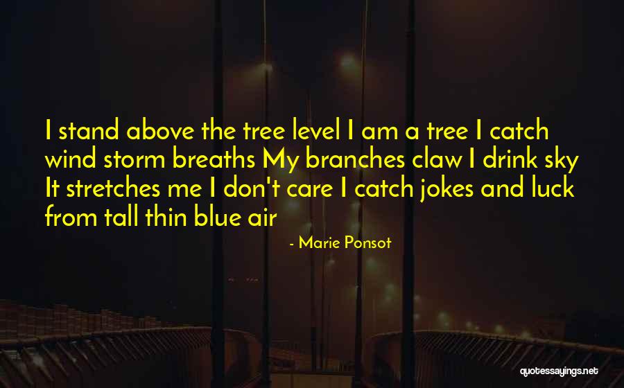 Tree Care Quotes By Marie Ponsot Tree Care Quotes By Marie Ponsot