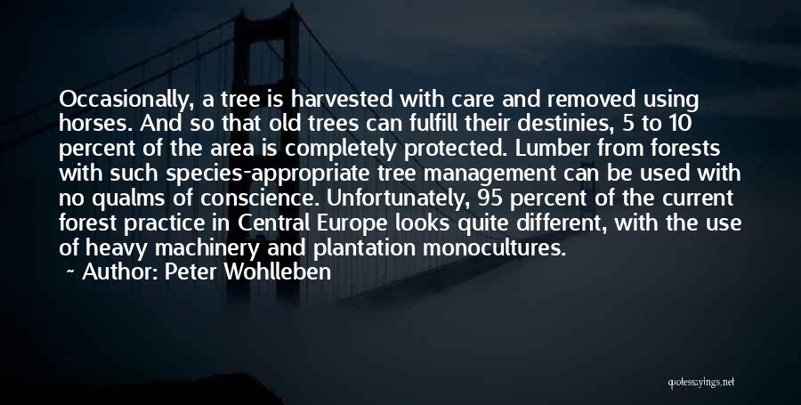 Tree Care Quotes By Peter Wohlleben