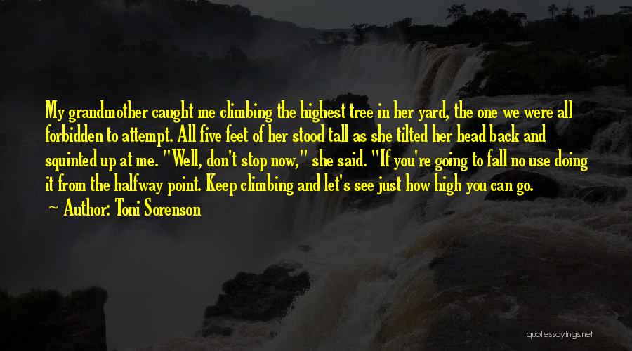 Tree Climbing Quotes By Toni Sorenson