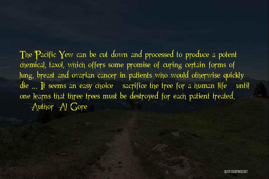 Tree Cutting Quotes By Al Gore