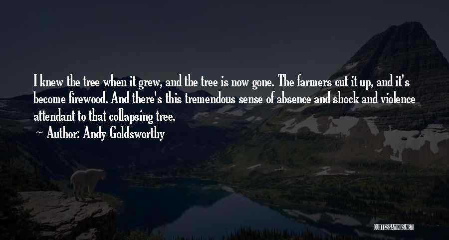 Tree Cutting Quotes By Andy Goldsworthy