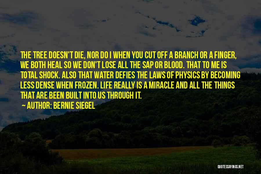 Tree Cutting Quotes By Bernie Siegel