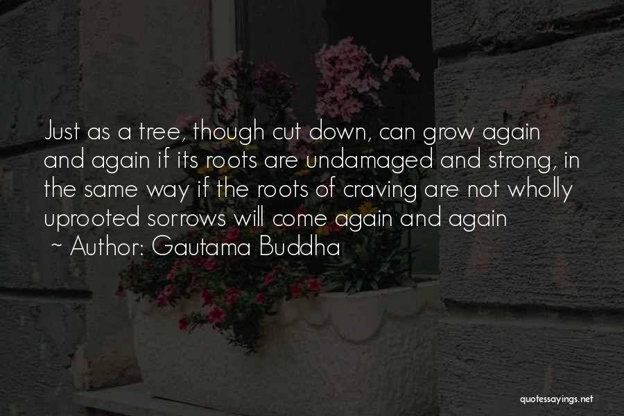 Tree Cutting Quotes By Gautama Buddha