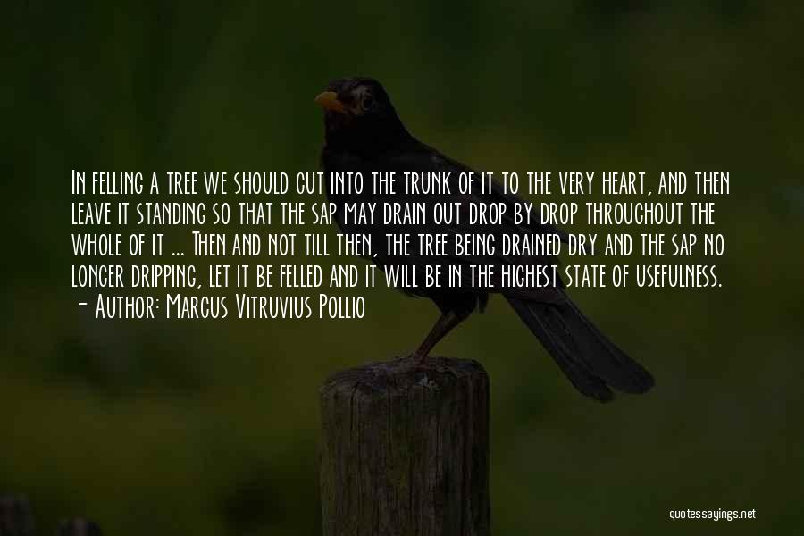 Tree Cutting Quotes By Marcus Vitruvius Pollio