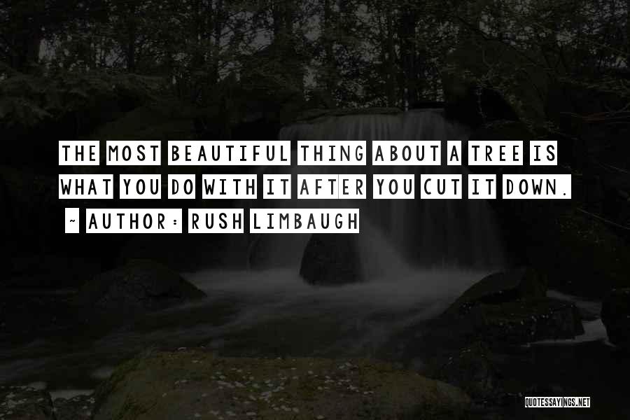 Tree Cutting Quotes By Rush Limbaugh