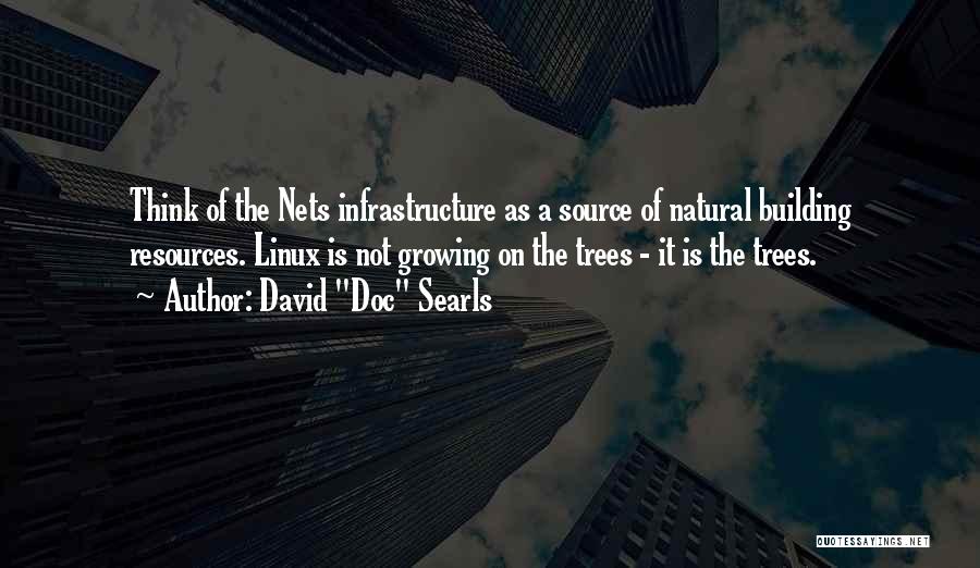 Tree Growing Quotes By David 