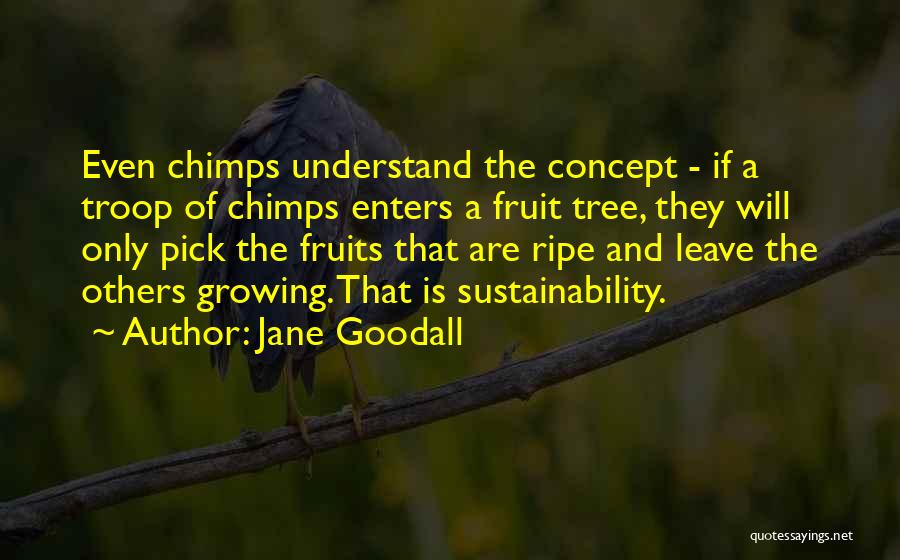 Tree Growing Quotes By Jane Goodall