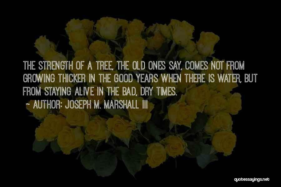 Tree Growing Quotes By Joseph M. Marshall III