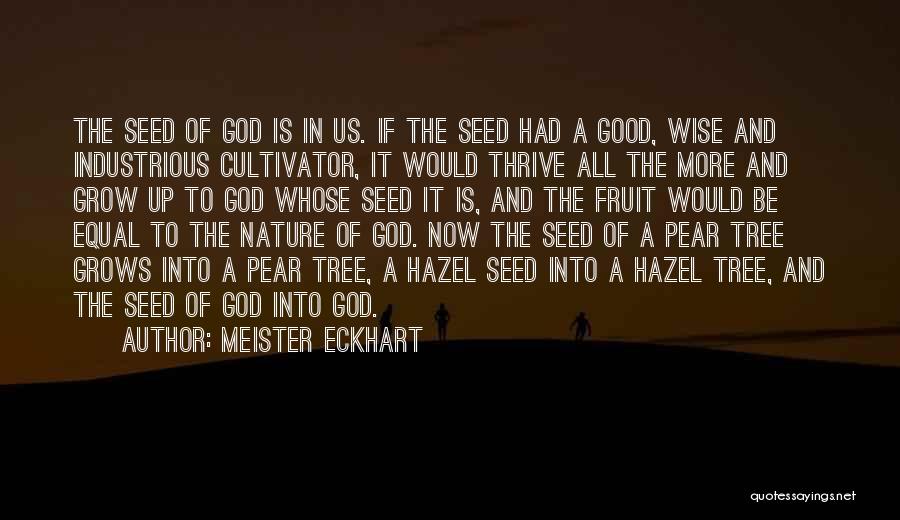 Tree Growing Quotes By Meister Eckhart