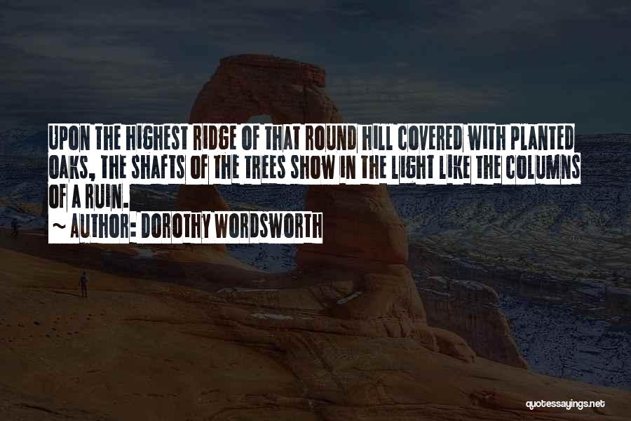 Tree Hill Quotes By Dorothy Wordsworth