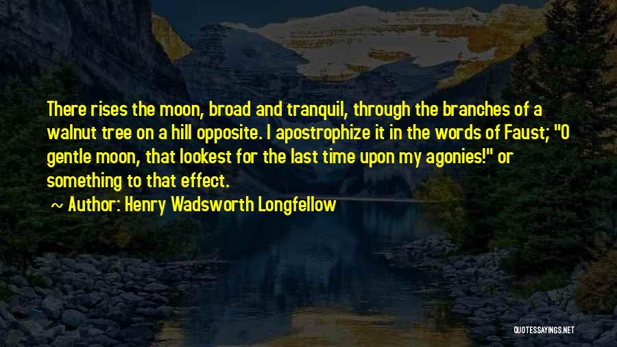 Tree Hill Quotes By Henry Wadsworth Longfellow