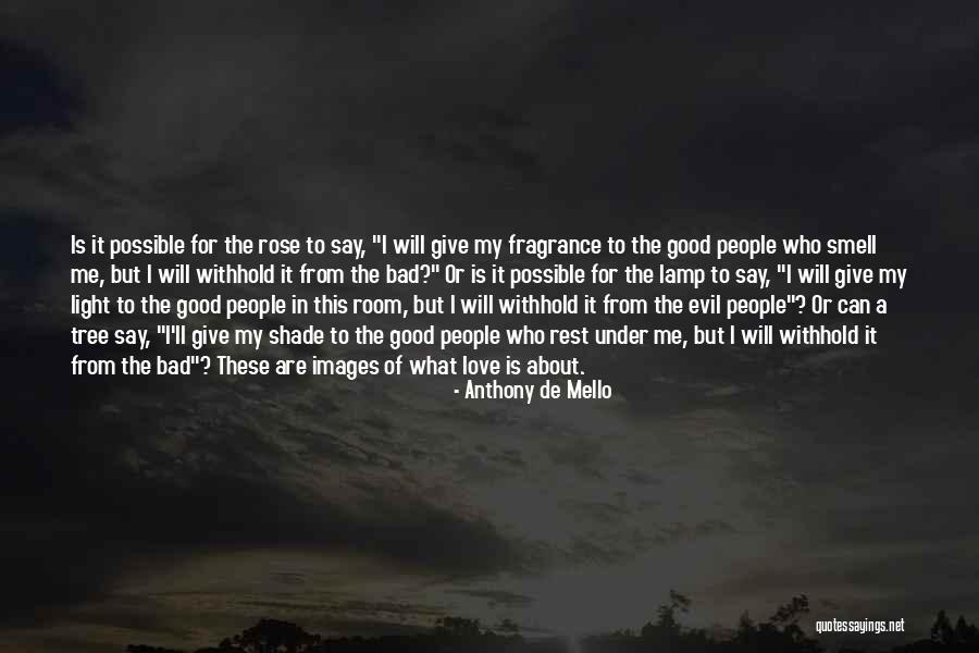 Tree Images With Quotes By Anthony De Mello