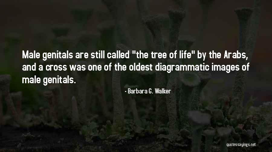 Tree Images With Quotes By Barbara G. Walker