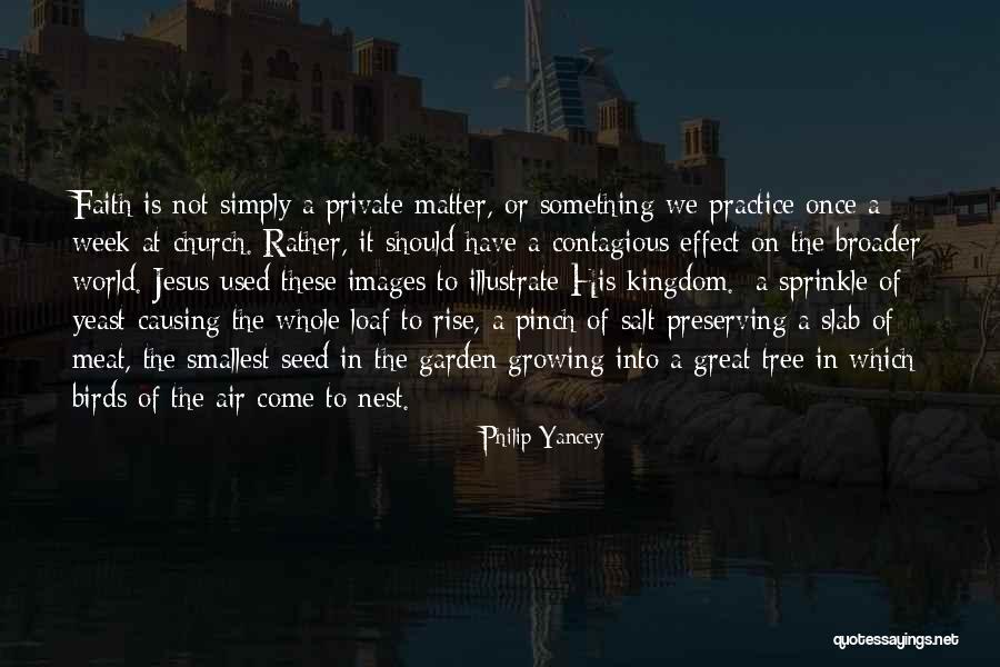 Tree Images With Quotes By Philip Yancey