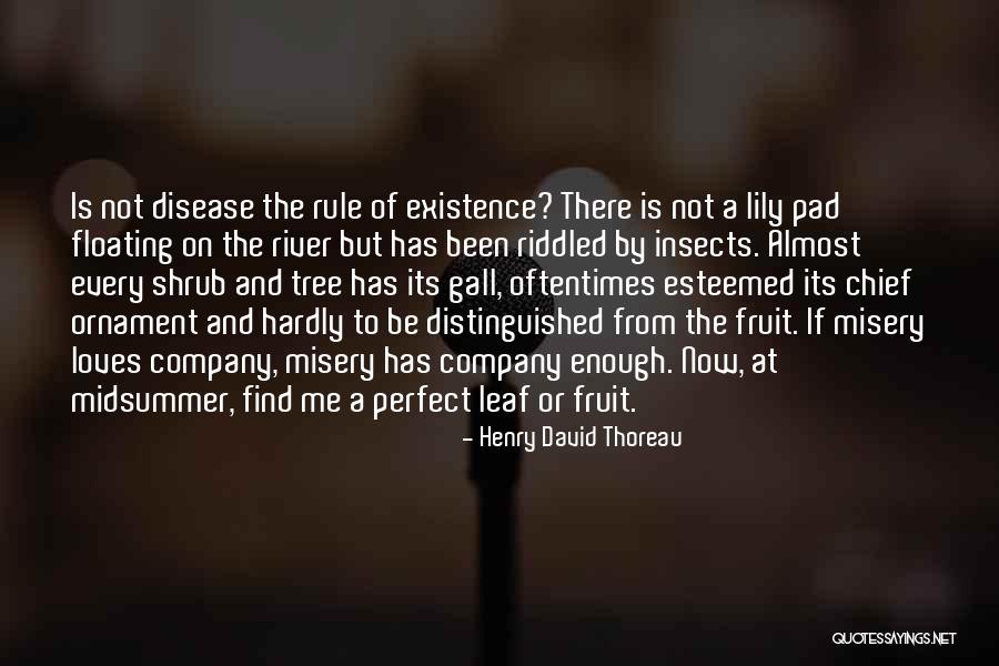 Tree Leaf Quotes By Henry David Thoreau Tree Leaf Quotes By Henry David Thoreau