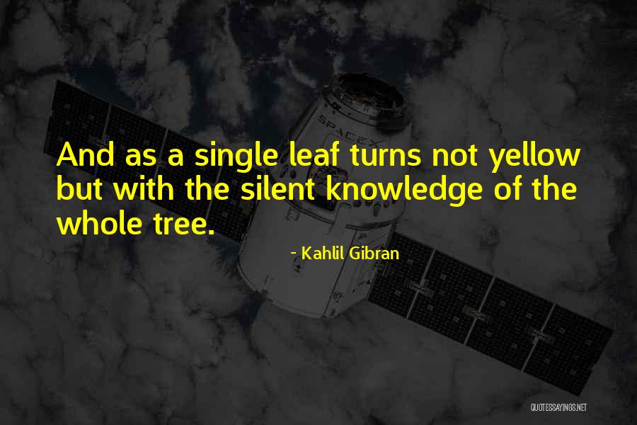 Tree Leaf Quotes By Kahlil Gibran Tree Leaf Quotes By Kahlil Gibran