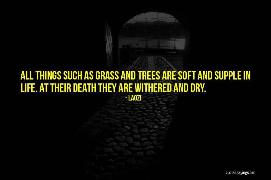 Tree Life Quotes By Laozi Tree Life Quotes By Laozi