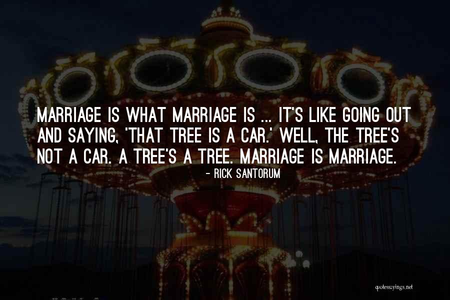 Tree Marriage Quotes By Rick Santorum Tree Marriage Quotes By Rick Santorum