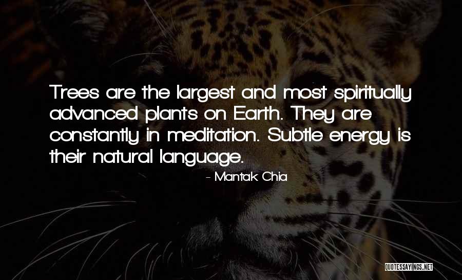 Tree Meditation Quotes By Mantak Chia Tree Meditation Quotes By Mantak Chia
