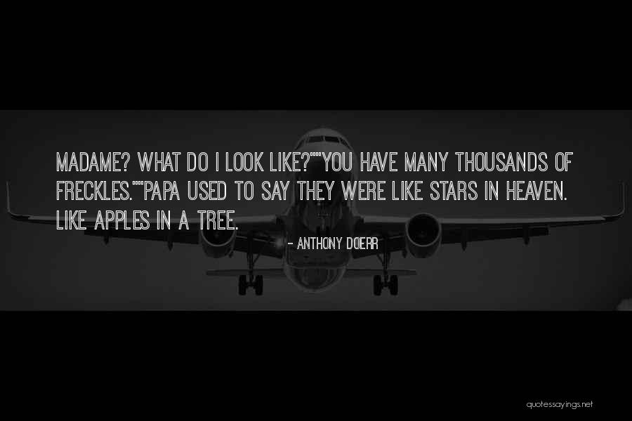 Tree Of Heaven Quotes By Anthony Doerr Tree Of Heaven Quotes By Anthony Doerr