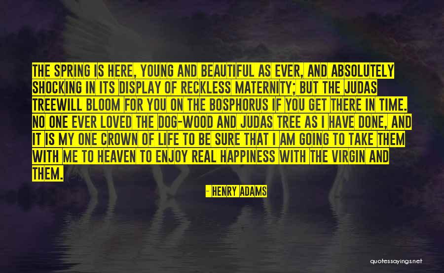 Tree Of Heaven Quotes By Henry Adams Tree Of Heaven Quotes By Henry Adams