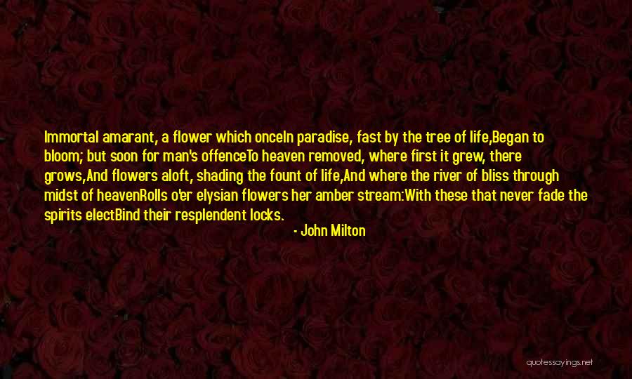 Tree Of Heaven Quotes By John Milton Tree Of Heaven Quotes By John Milton