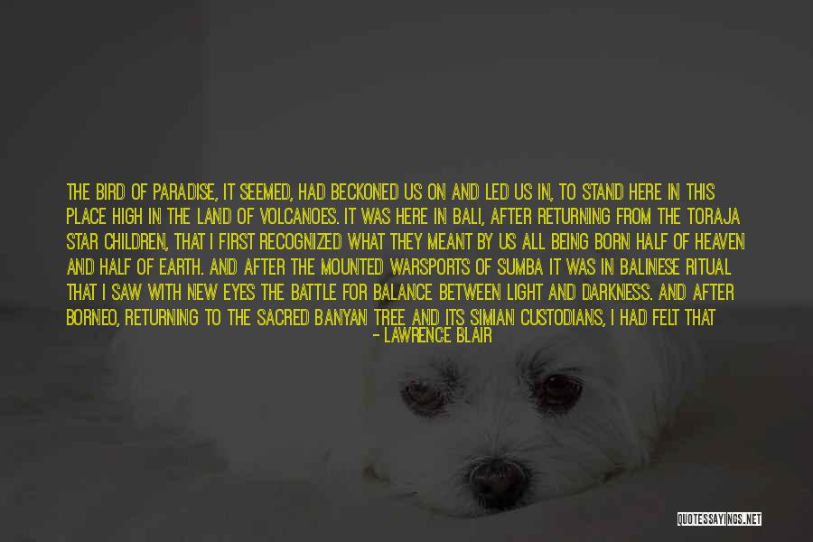Tree Of Heaven Quotes By Lawrence Blair Tree Of Heaven Quotes By Lawrence Blair