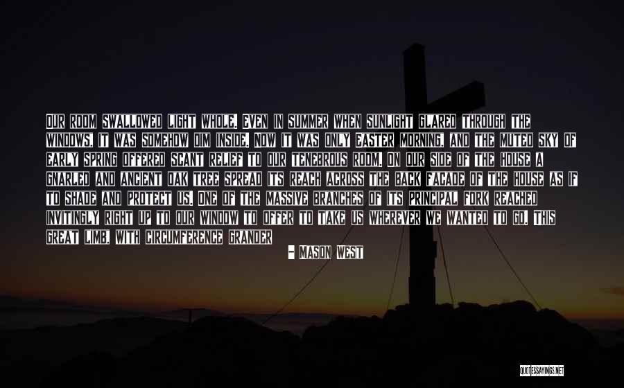Tree Of Heaven Quotes By Mason West Tree Of Heaven Quotes By Mason West