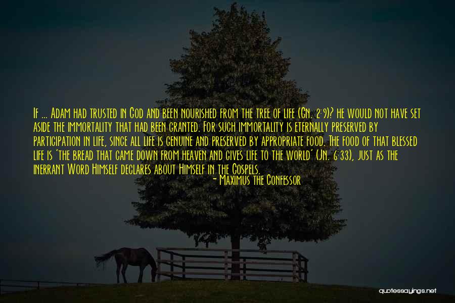 Tree Of Heaven Quotes By Maximus The Confessor Tree Of Heaven Quotes By Maximus The Confessor