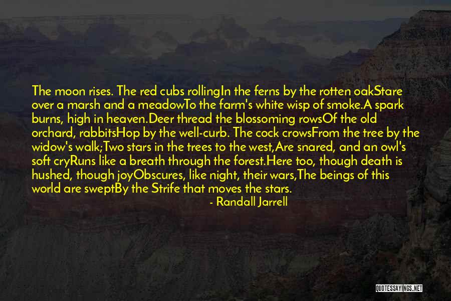 Tree Of Heaven Quotes By Randall Jarrell Tree Of Heaven Quotes By Randall Jarrell