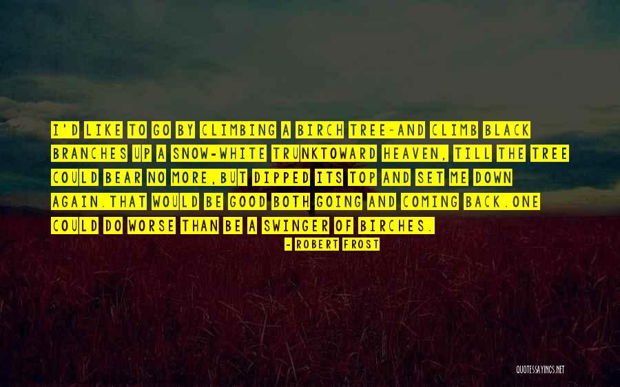 Tree Of Heaven Quotes By Robert Frost Tree Of Heaven Quotes By Robert Frost