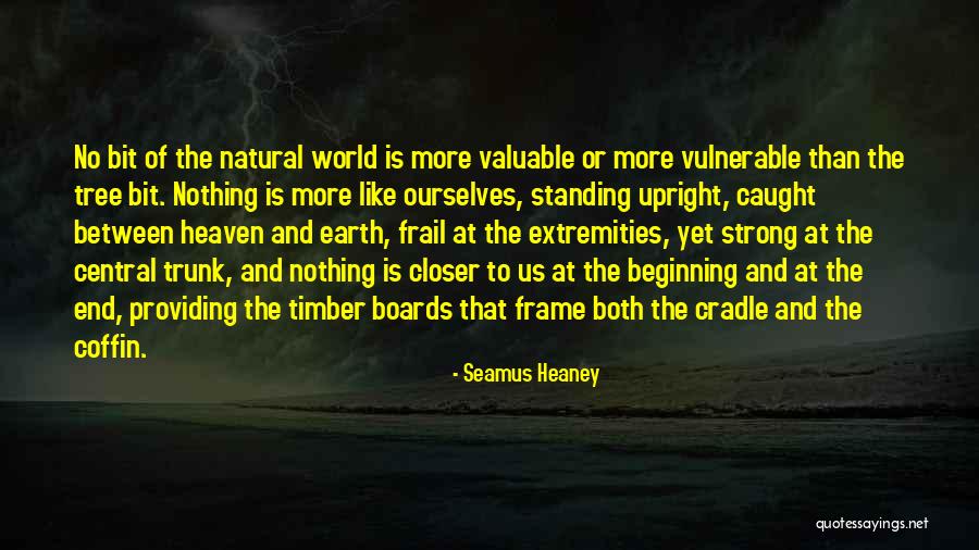 Tree Of Heaven Quotes By Seamus Heaney Tree Of Heaven Quotes By Seamus Heaney