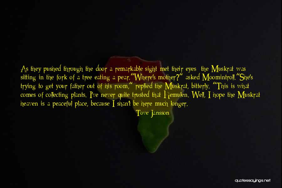 Tree Of Heaven Quotes By Tove Jansson Tree Of Heaven Quotes By Tove Jansson