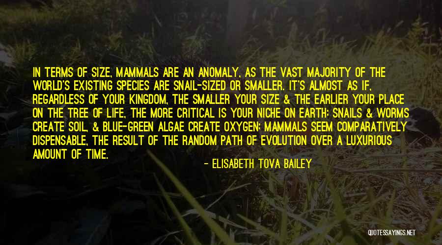Tree Oxygen Quotes By Elisabeth Tova Bailey Tree Oxygen Quotes By Elisabeth Tova Bailey