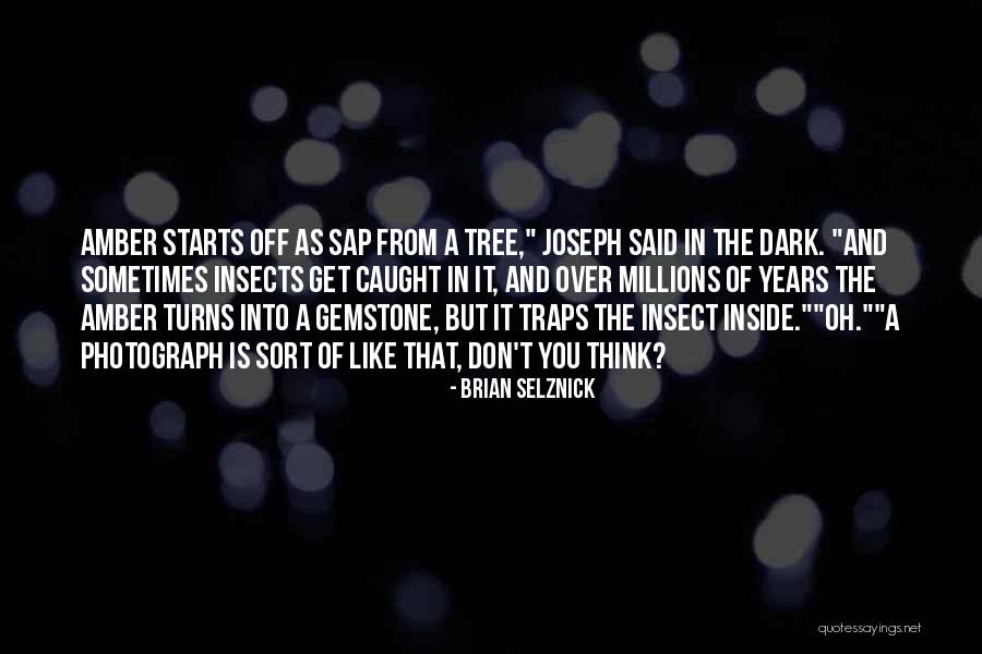 Tree Photography Quotes By Brian Selznick Tree Photography Quotes By Brian Selznick